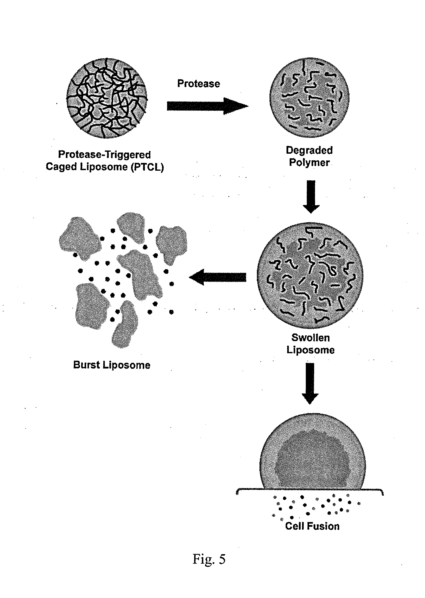 Protease selective supramolecular assemblies