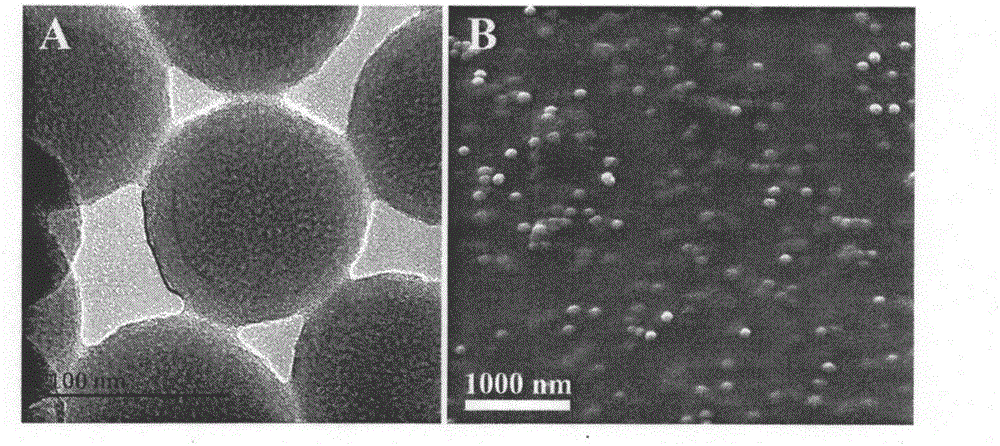 Preparation method of nano meso-porous silicon composite hydrogel with controlled release function