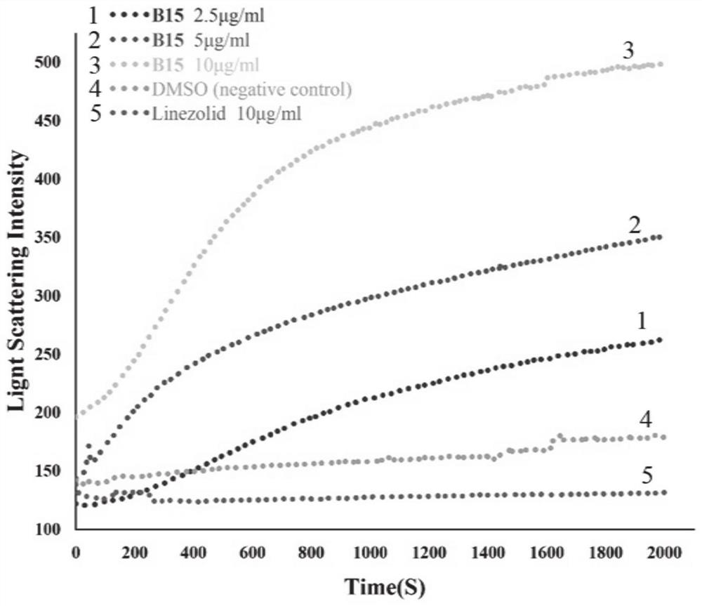 Benzoheterocycle substituted phenanthridine quaternary ammonium salt derivative as well as preparation method and application thereof