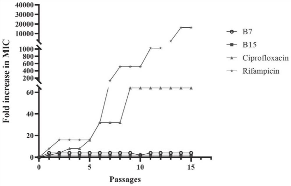 Benzoheterocycle substituted phenanthridine quaternary ammonium salt derivative as well as preparation method and application thereof