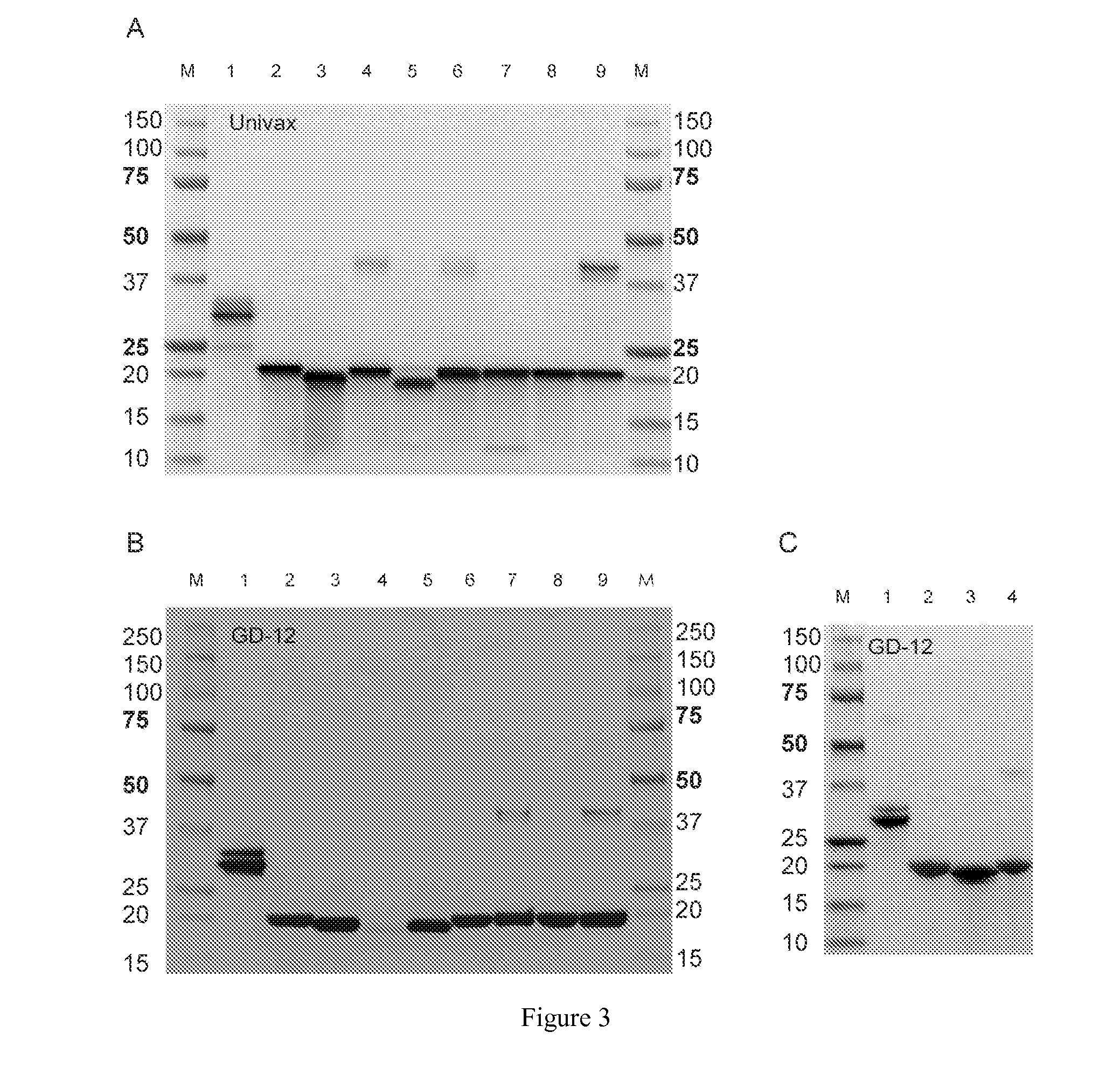 Ricin Vaccine and Methods of Making Thereof