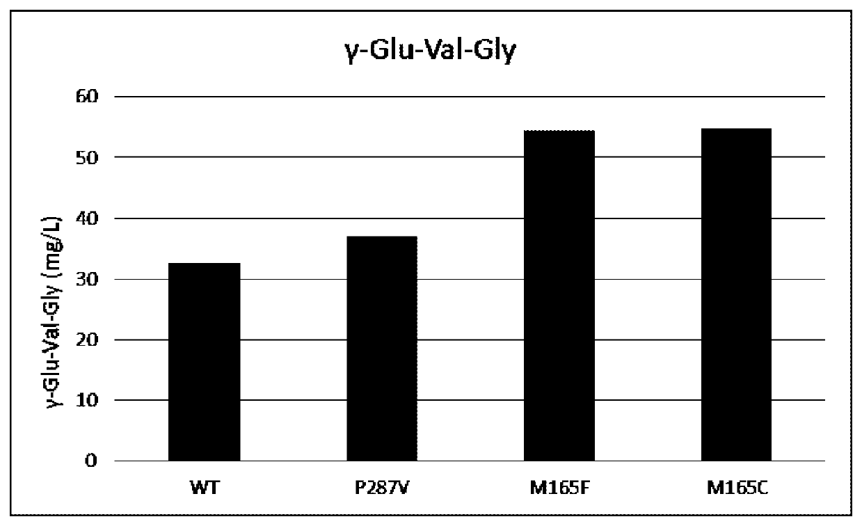 Mutant glutathione synthetase and method for producing gamma-glutamyl-valyl-glycine