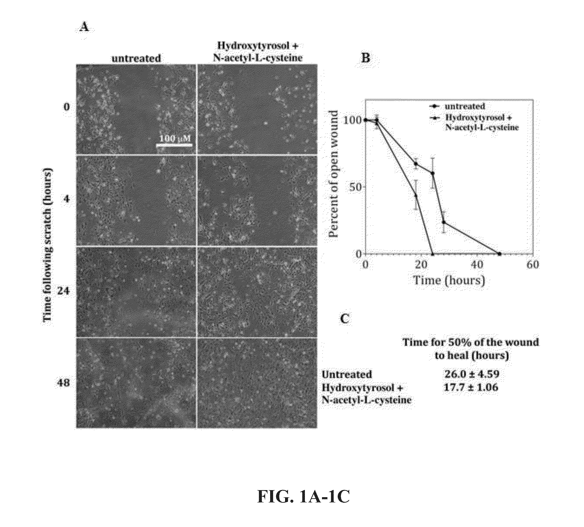 Methods for improved wound closure employing olivamine and human umbilical vein endothelial cells