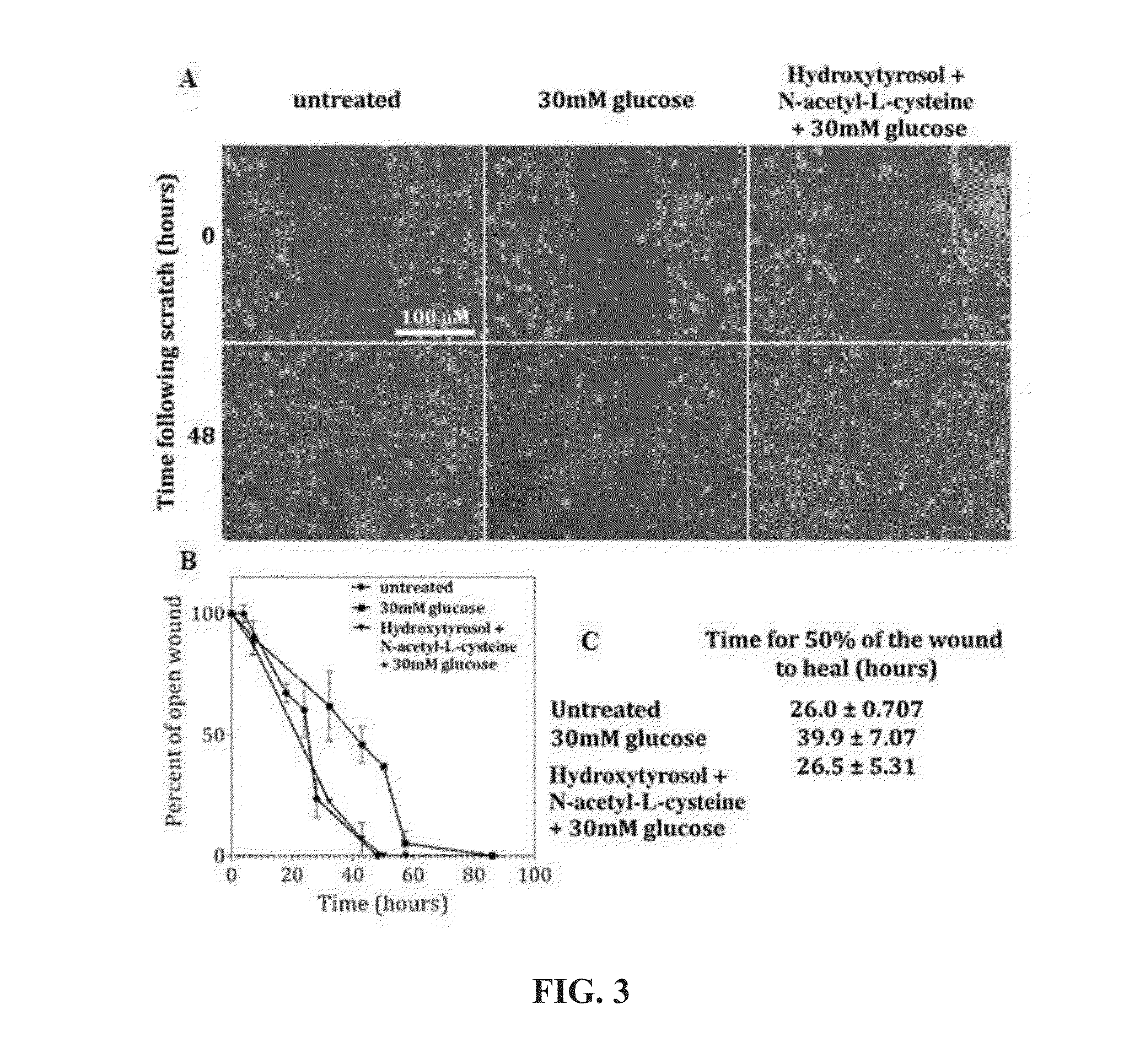 Methods for improved wound closure employing olivamine and human umbilical vein endothelial cells