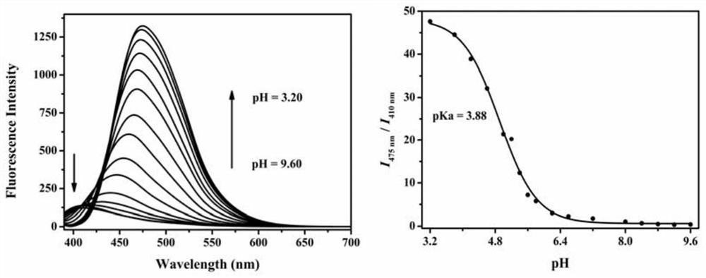 A two-photon pH ratiometric fluorescent probe for monitoring cell autophagy and its preparation method and application