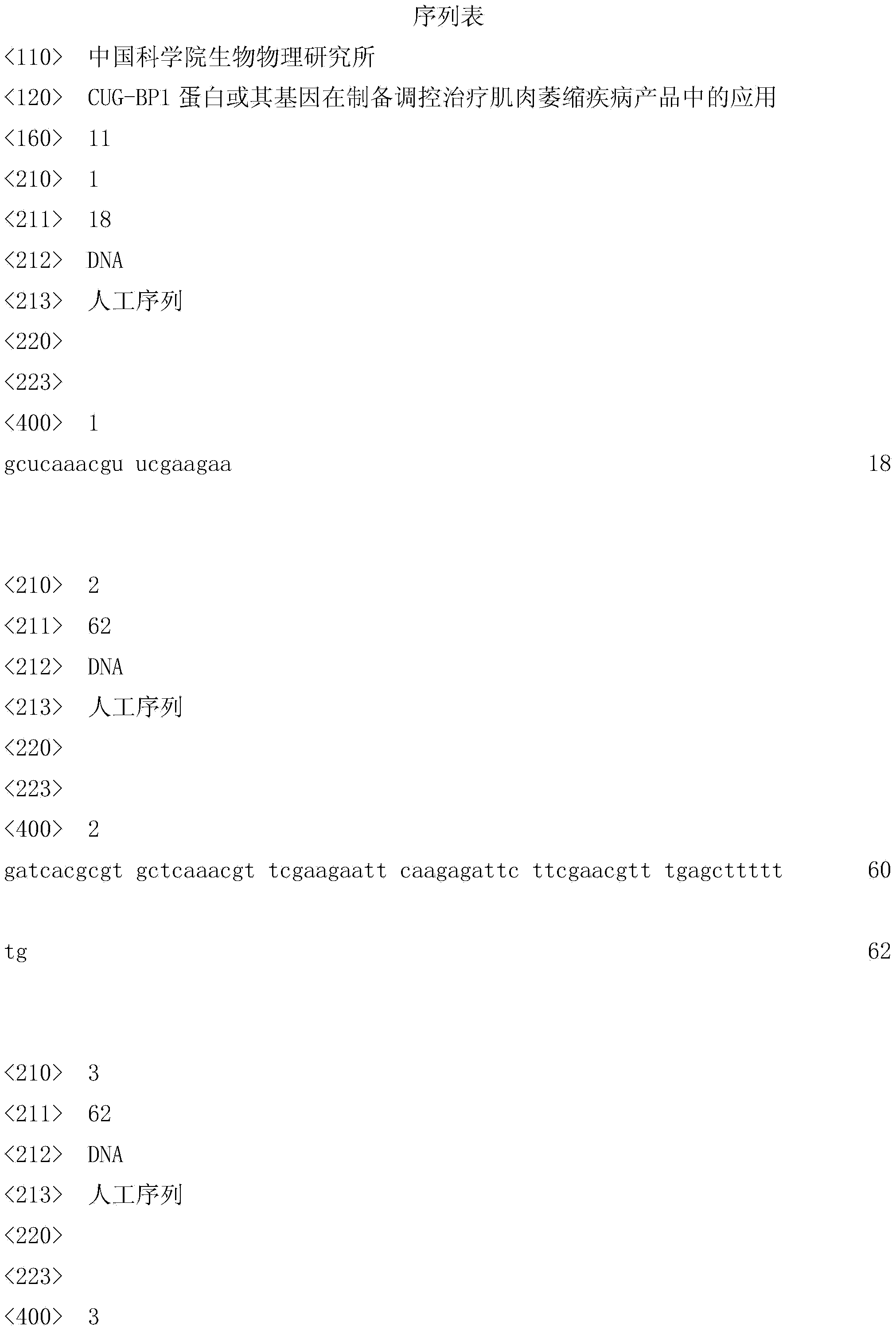 Application of CUG-BP1 (cytosine-uridineguanine-binding protein 1) and gene thereof in preparation of products for controlling and treating muscle atrophy diseases