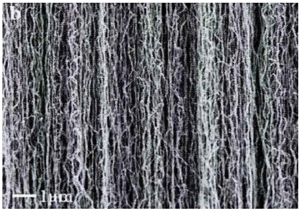 A method for directly growing carbon nanotube arrays on fiber substrates