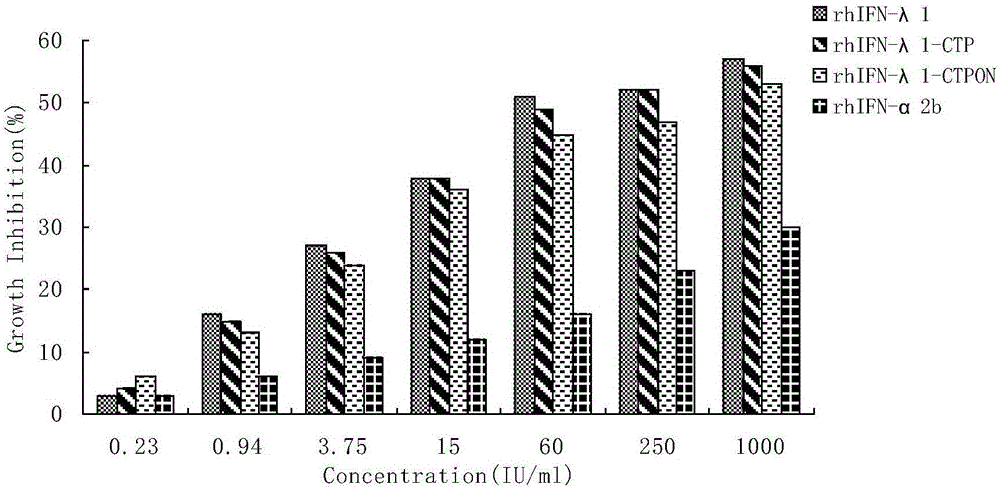 New carboxyl terminal peptide and long-acting interferon