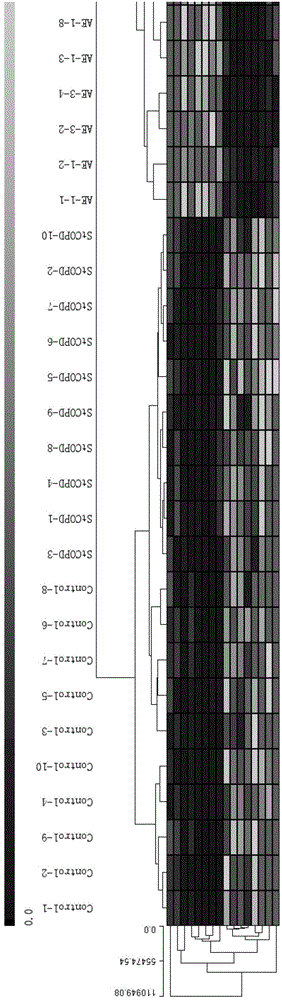 Gene expression diagnostic chip for acute exacerbation of chronic obstructive pulmonary disease