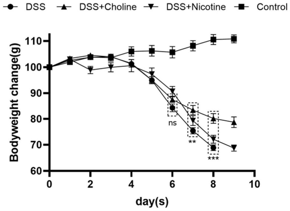 Application of choline chloride in relieving inflammatory bowel diseases