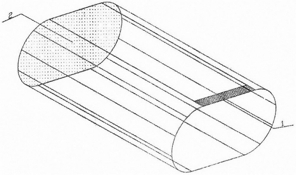 Plasma-based human body microenvironment epidemic prevention guarantee equipment and method