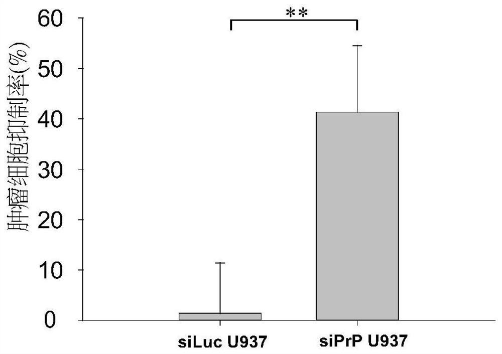 An immune cell line with enhanced antitumor effect