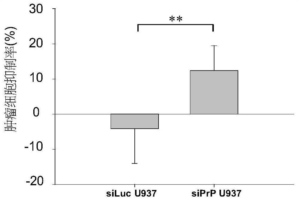 An immune cell line with enhanced antitumor effect