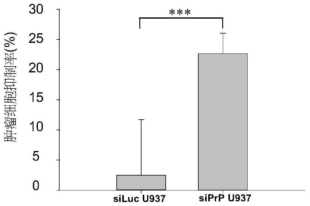 An immune cell line with enhanced antitumor effect