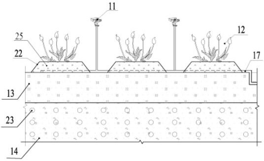 Purification treatment system for tail water of sewage plant and construction method of purification treatment system