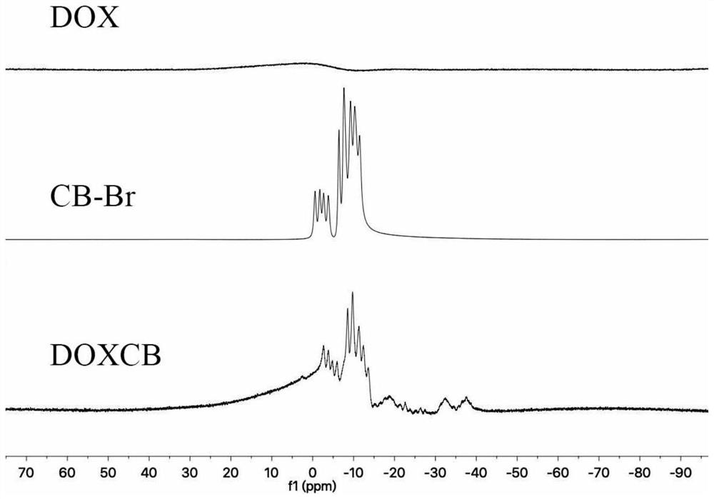 A kind of boron-containing preparation with cell nucleus targeting and its preparation method and application