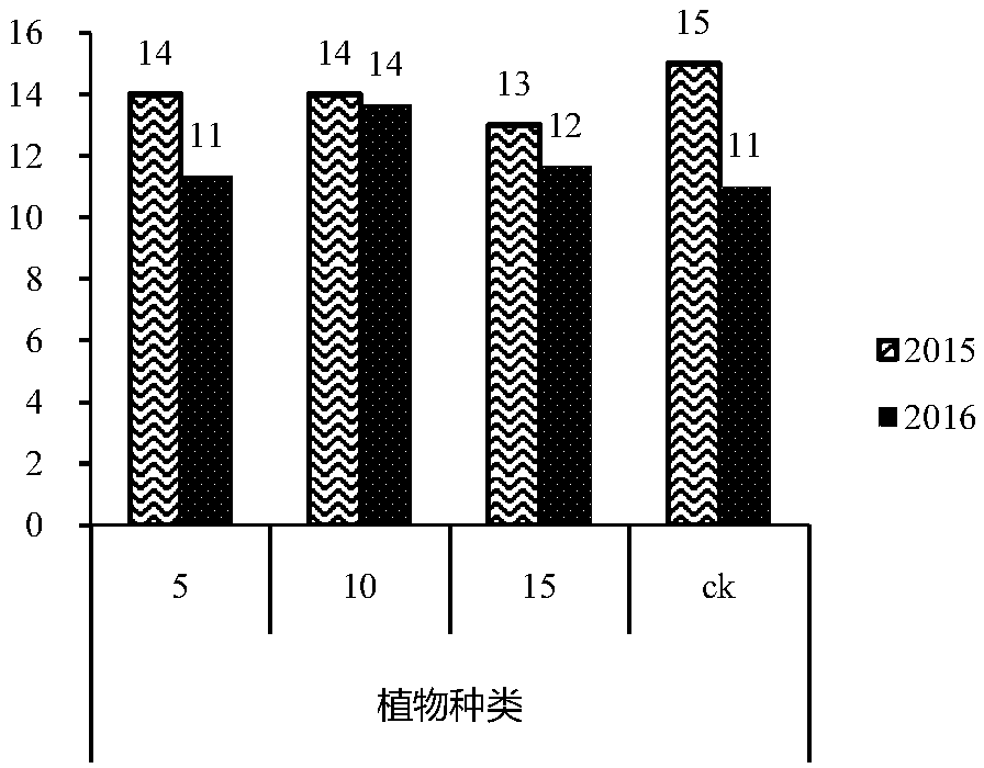 Cultivation method for herbage in degraded natural pasture