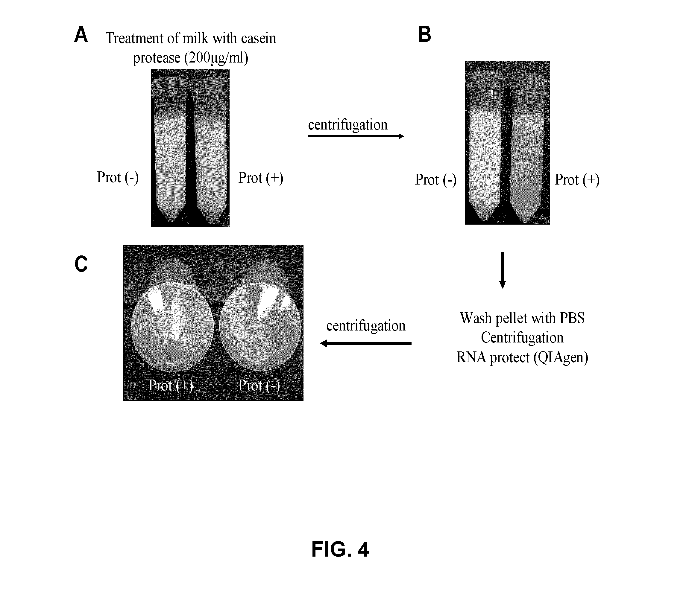 Bacterial vaccine components from Staphylococcus aureus and uses thereof