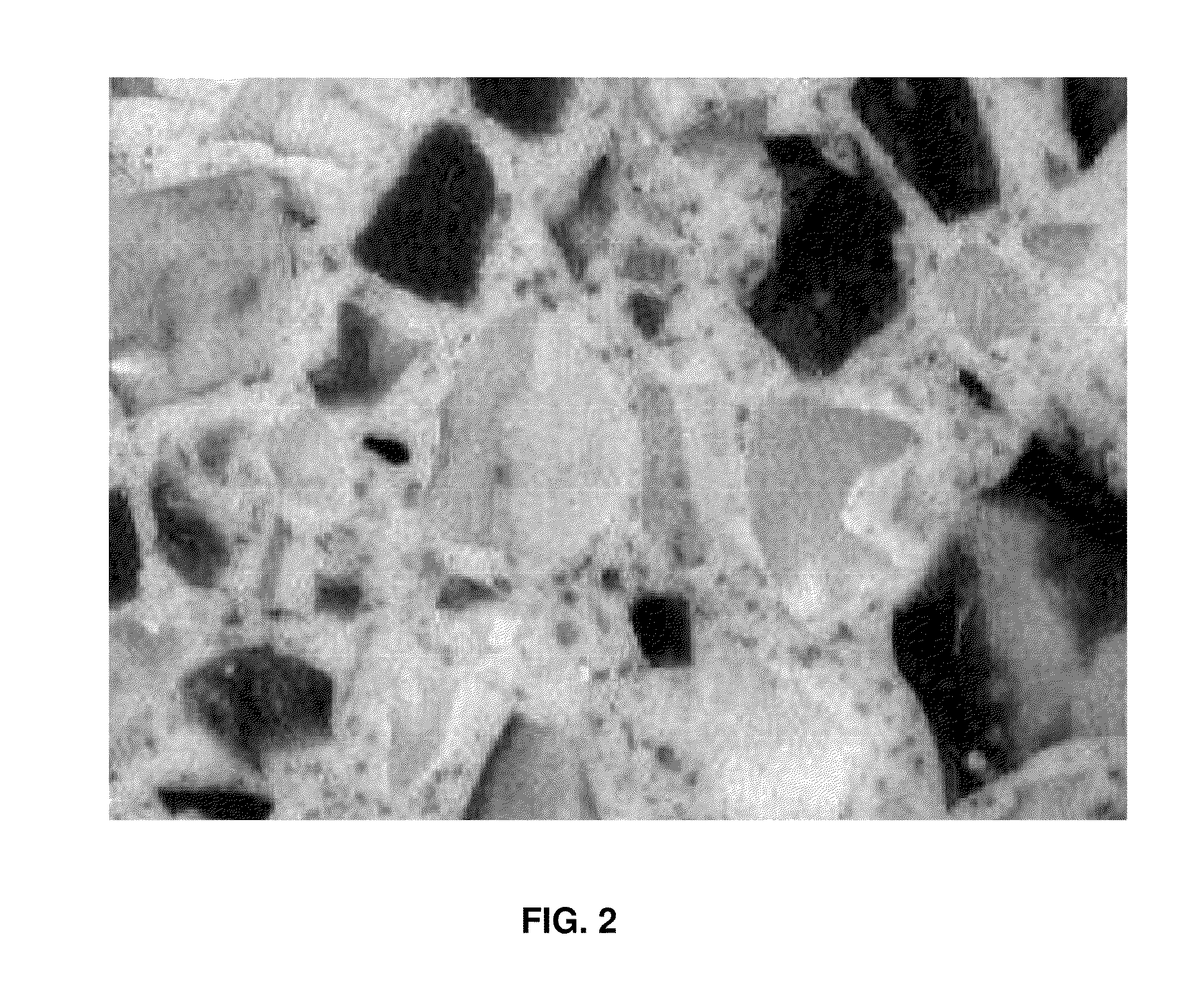 Resin Composition for Manufacturing Marble Chips, Method for Manufacturing Marble Chips, and Artificial Marble Made From Marble Chips