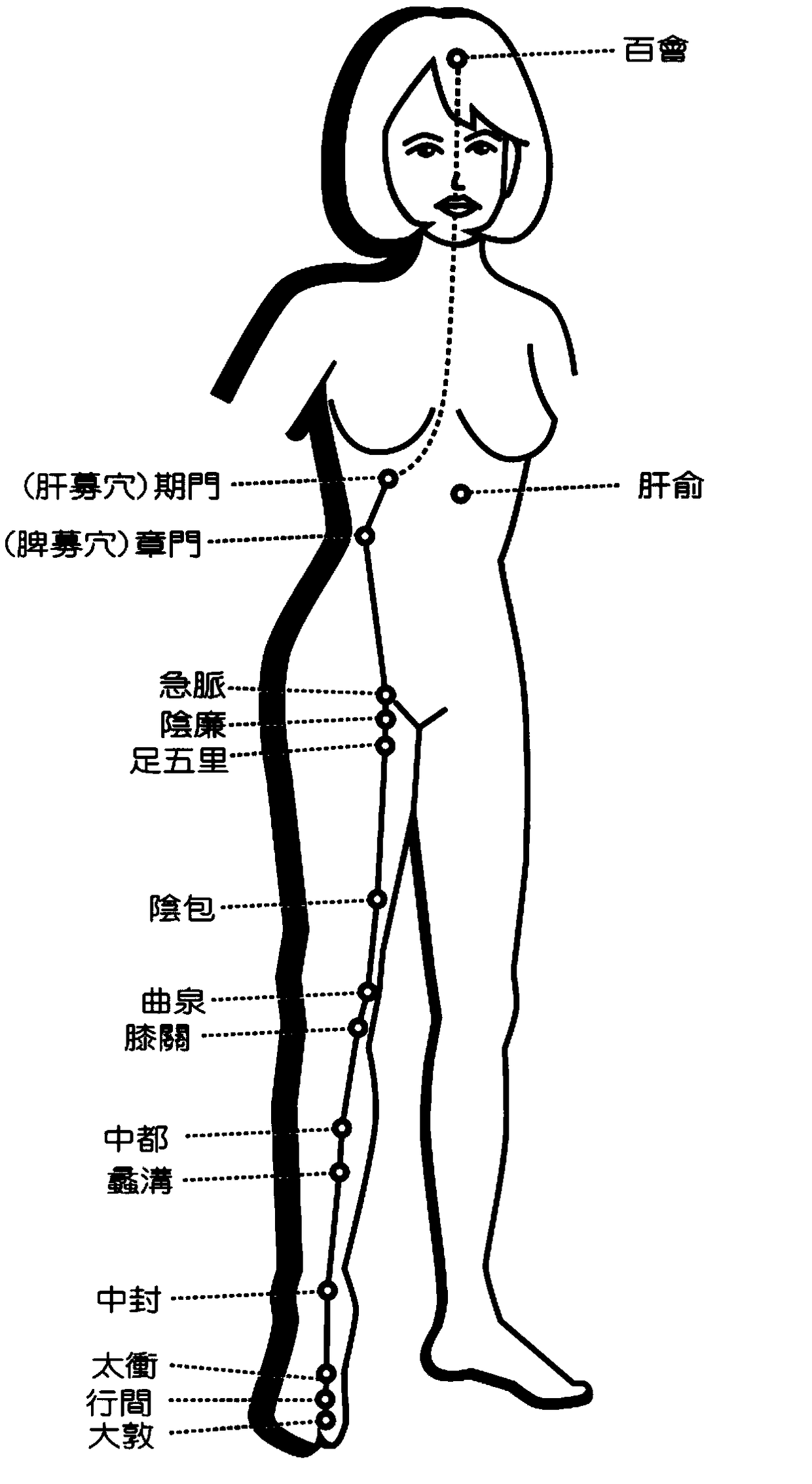 Radix angelicae sinensis and herba leonuri massage oil as well as preparation method and application thereof