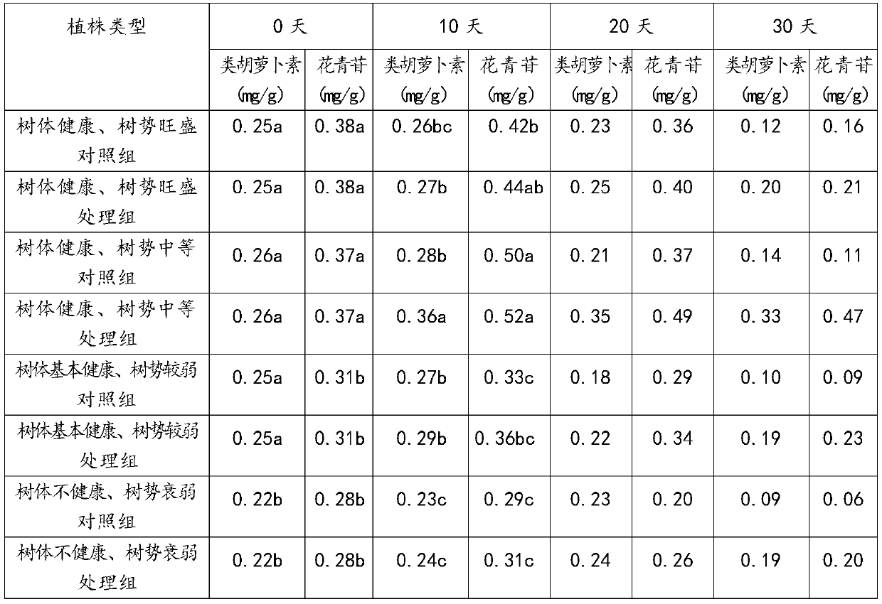 Chemical and method for reducing damage and improving ornamental value of loropetalum chinense under acid rain stress