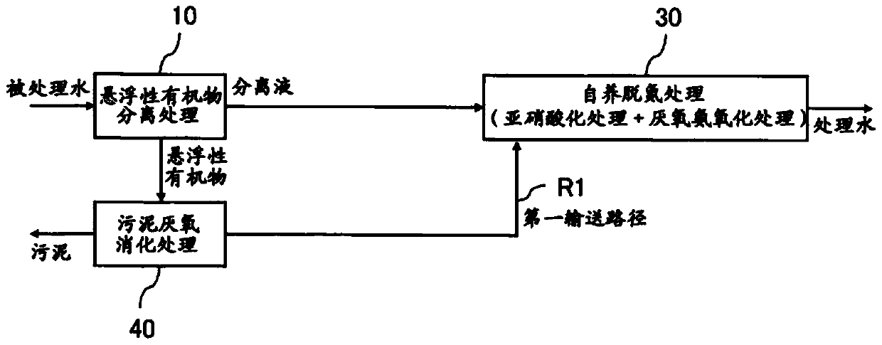 Processing system and processing method for nitrogen-containing organic waste water