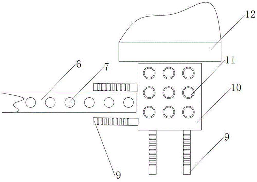 Core-injected Chinese evergreenchinkapin seed cake production device and method thereof