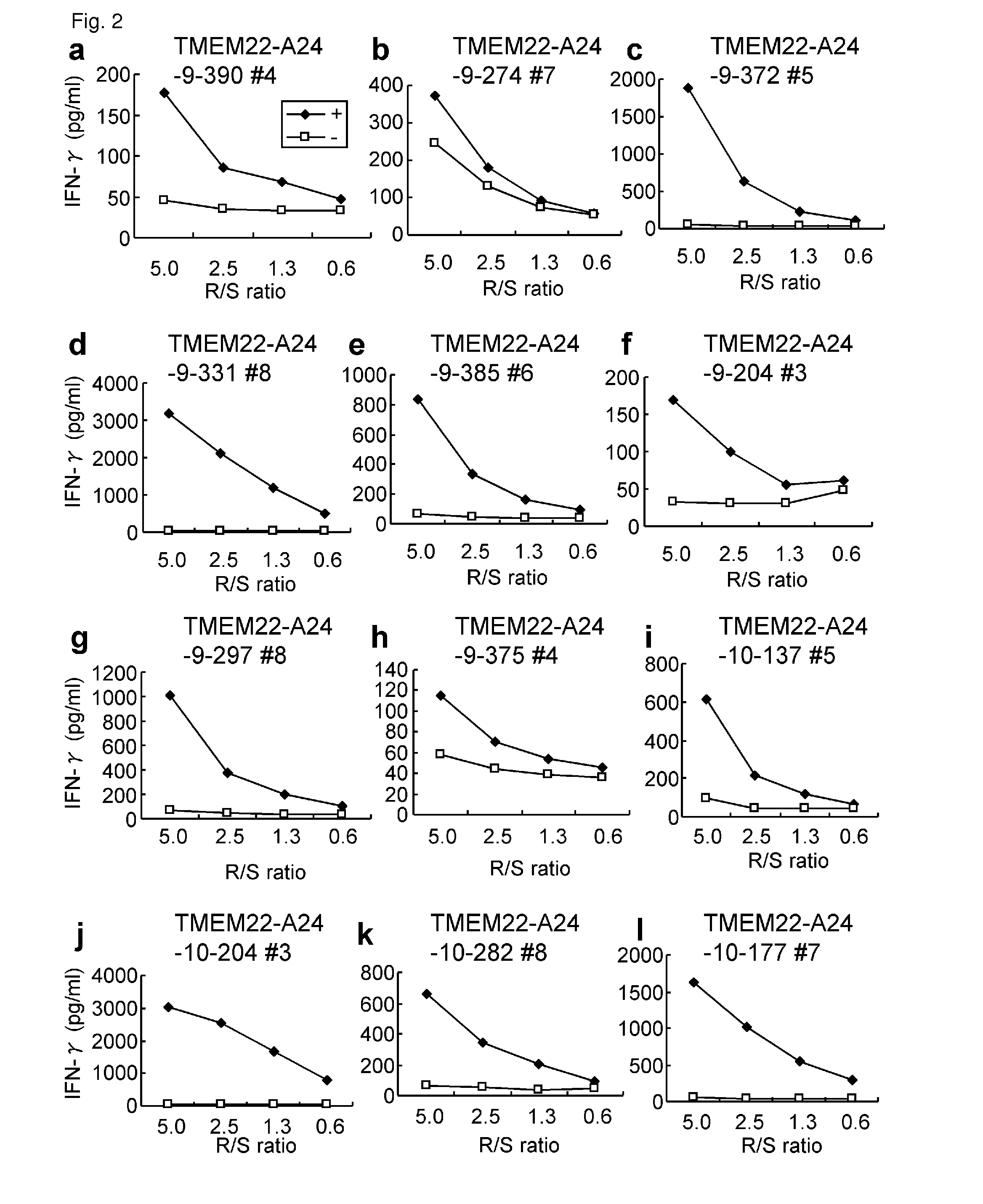 TMEM22 peptides and vaccines including the same