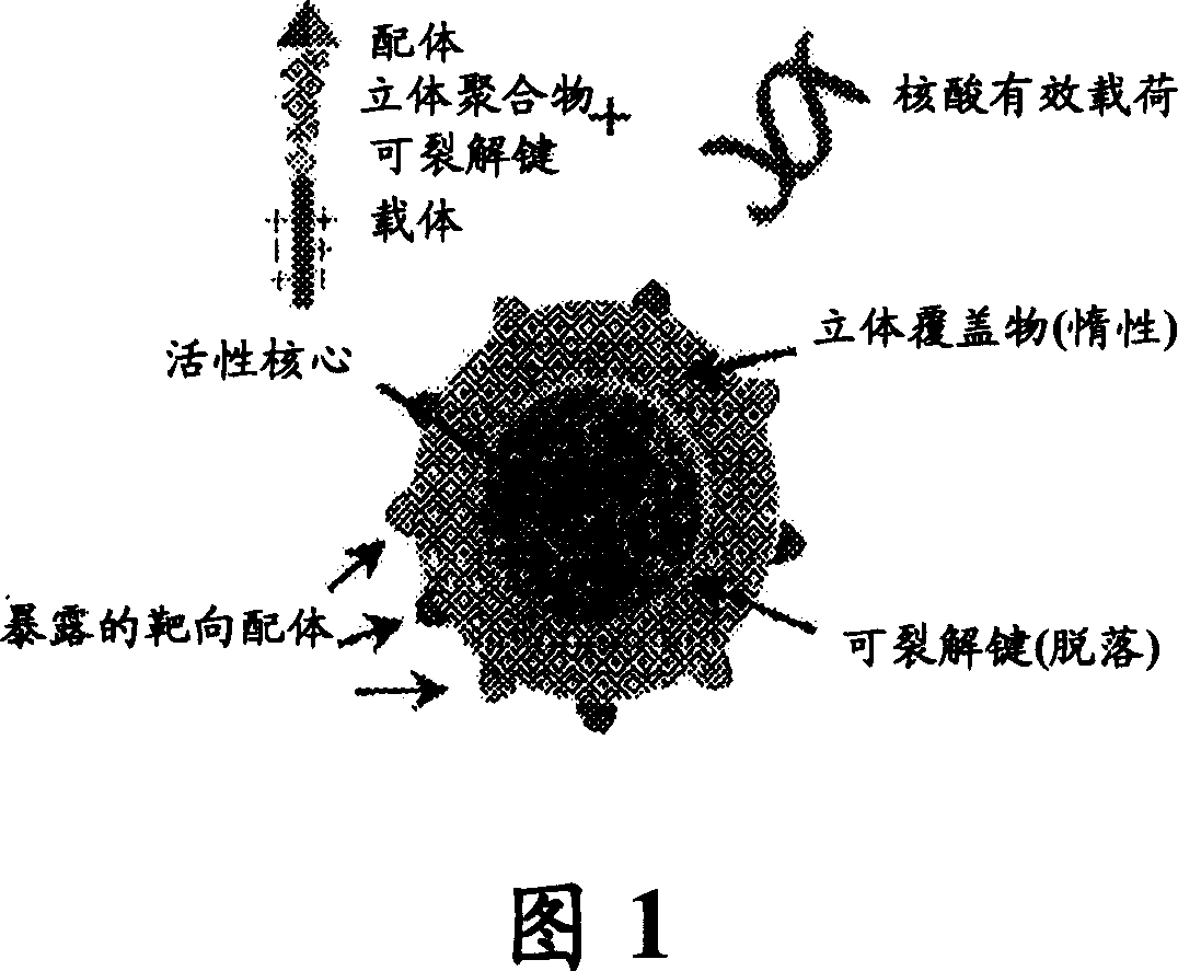 RNAi therapeutics for treatment of eye neovascularization diseases