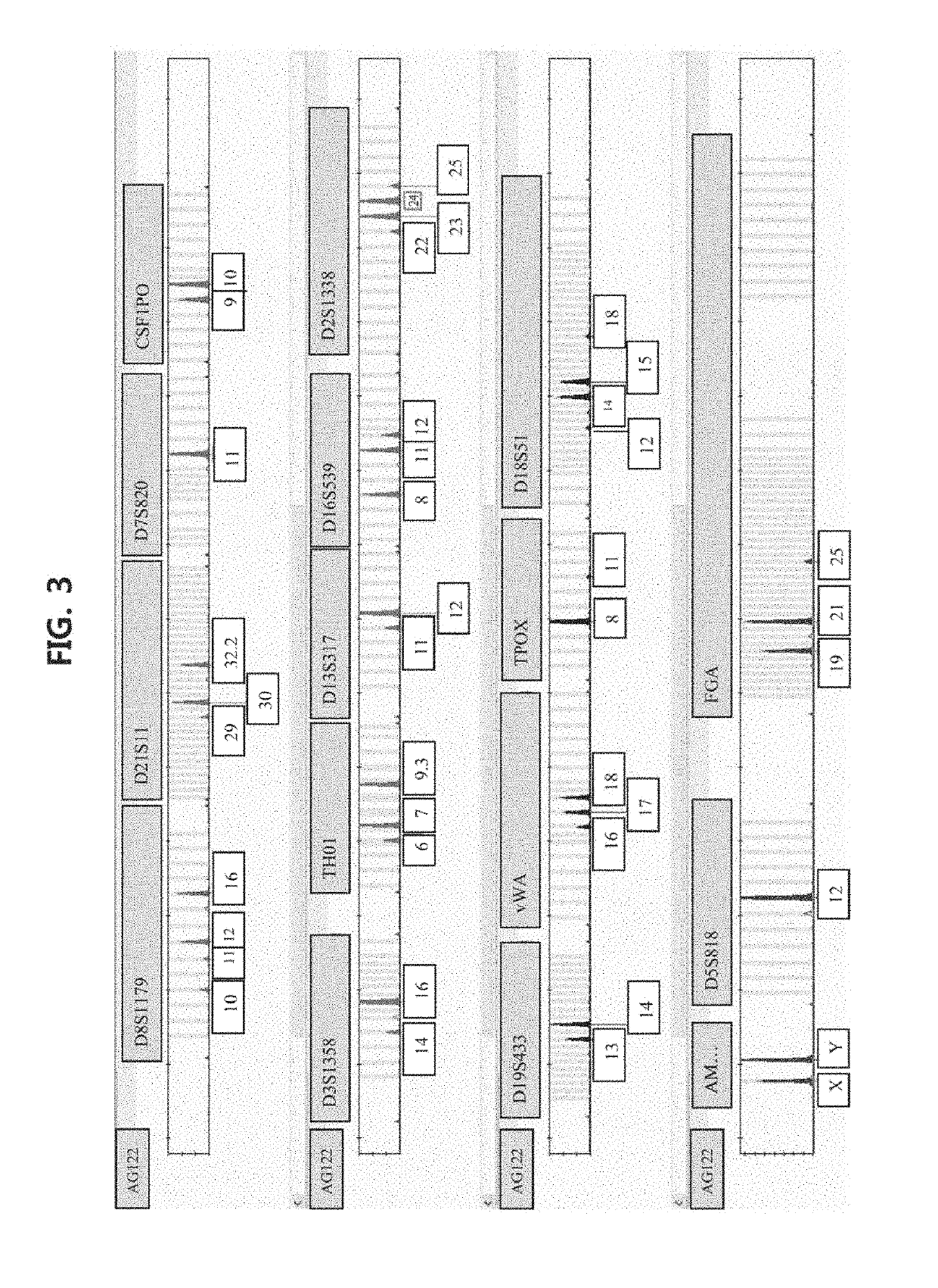 Method, apparatus and kit for human identification using polymer filter means for separation of sperm cells from biological samples that include other cell types
