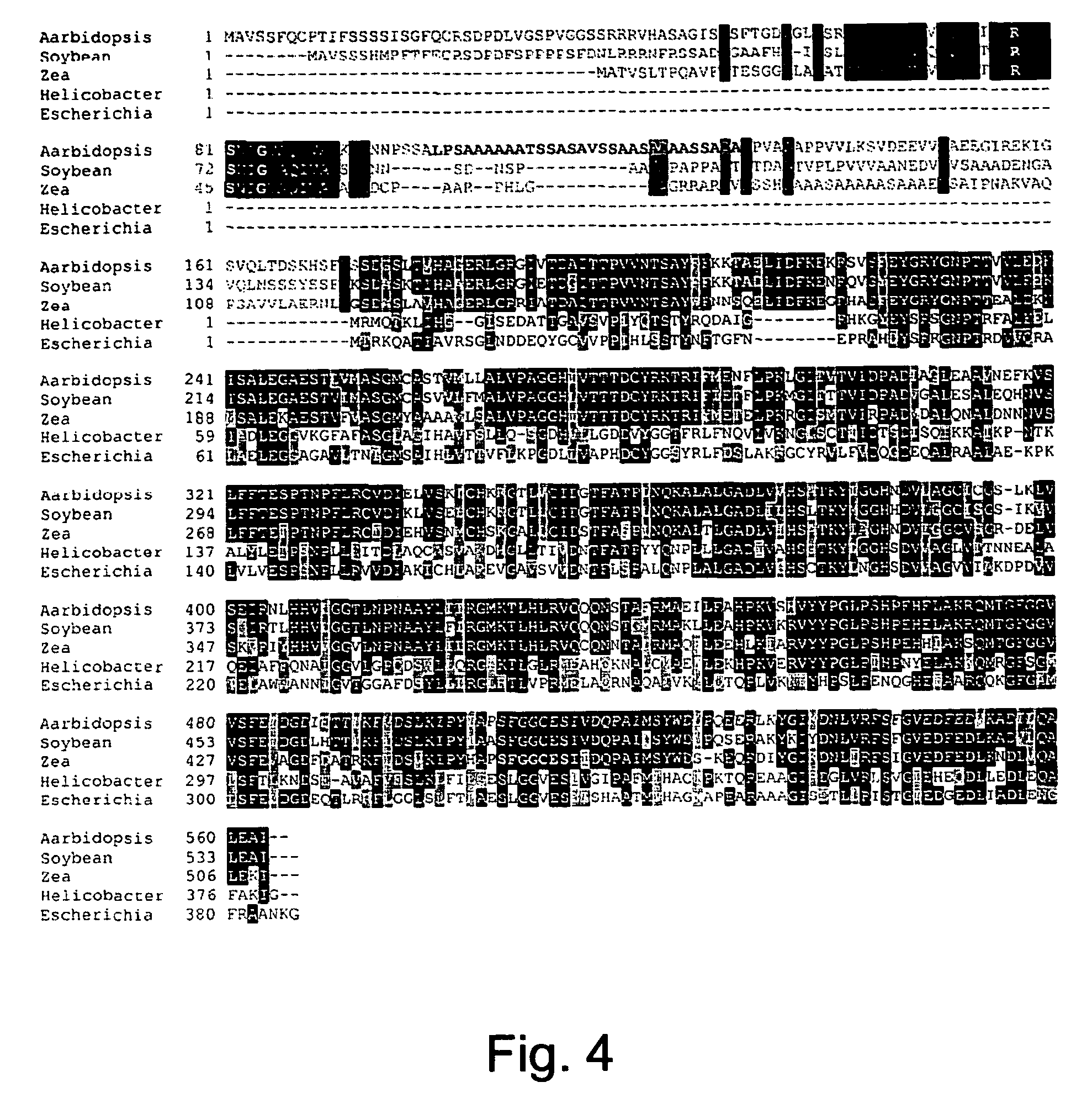 Plants characterized by an increased content of methionine and related metabolites, methods of generating same and uses thereof