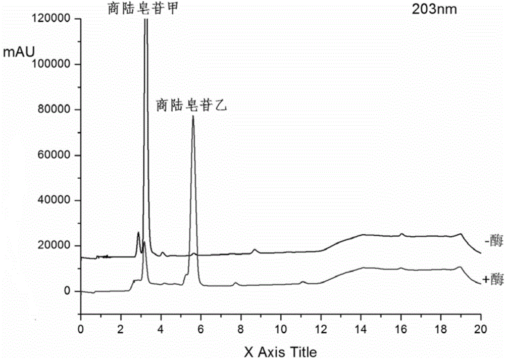 Method of preparing esculentoside B through enzymatic hydrolysis of esculentoside A