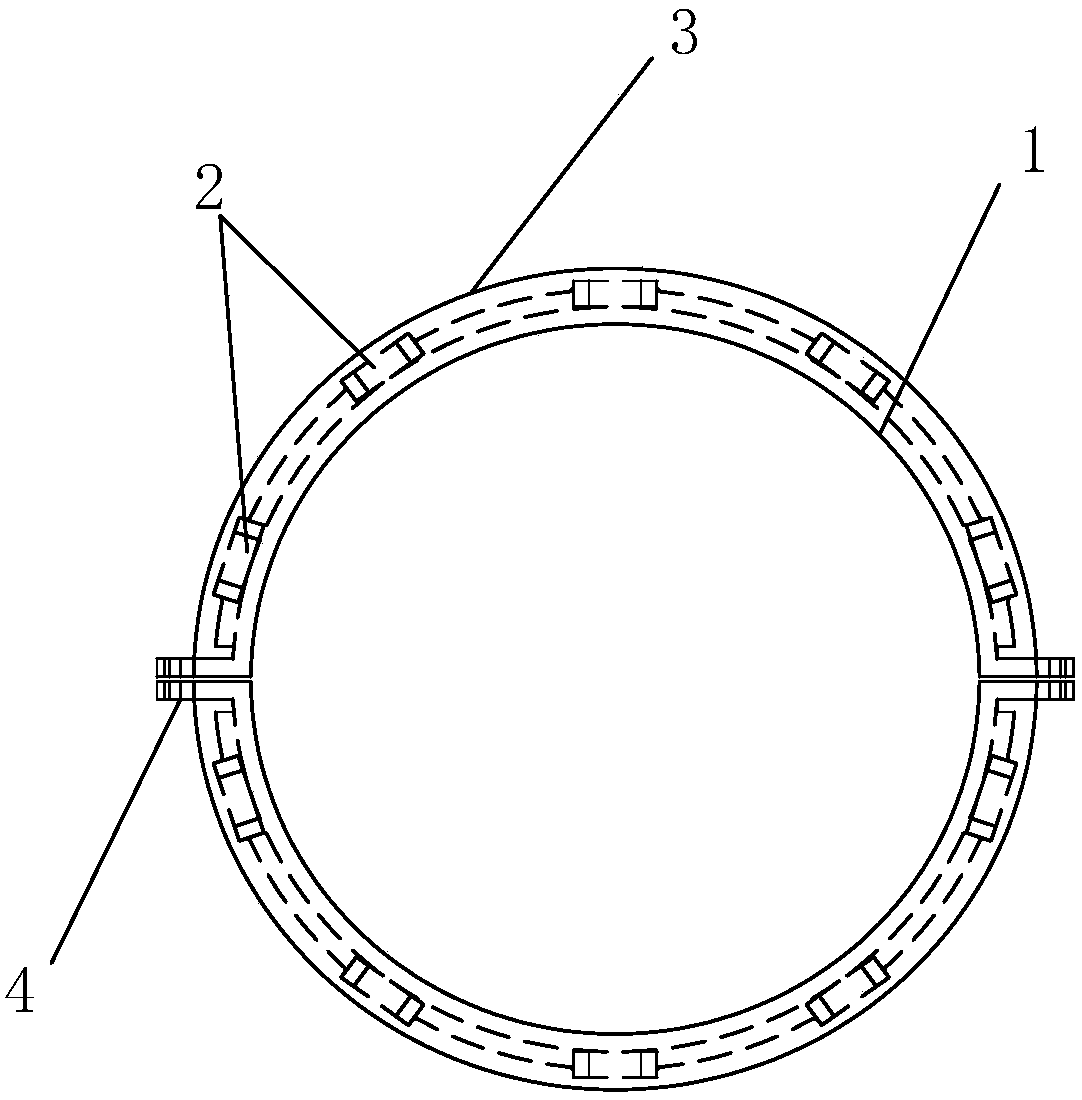 Capsule endoscope control device, system and method
