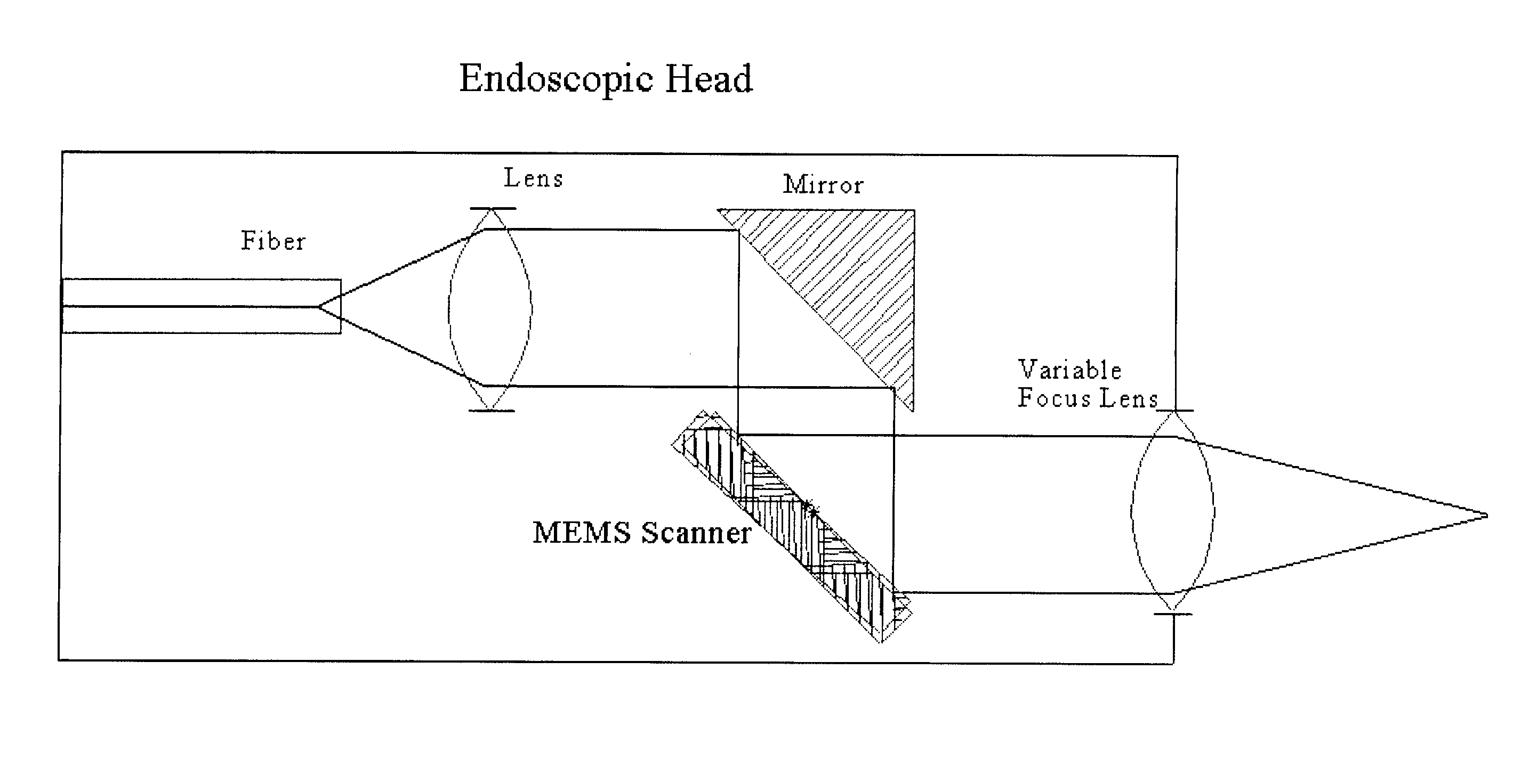 Multimodal depth-resolving endoscope