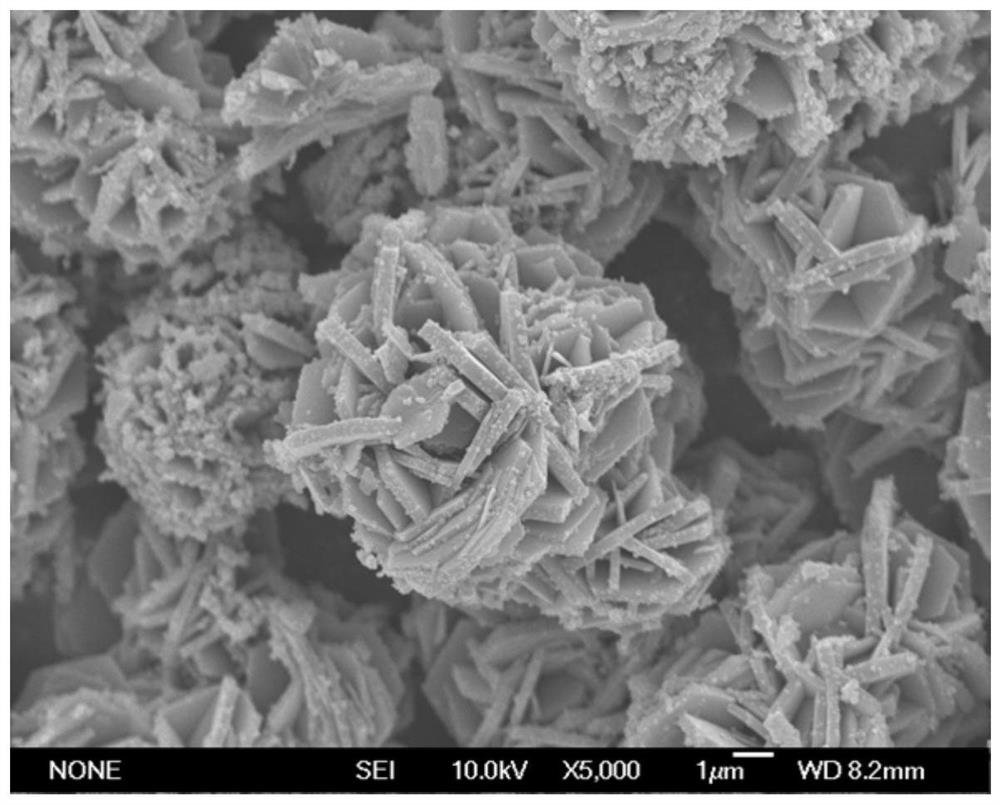 A kind of preparation method of quasi-single crystal high nickel multicomponent material