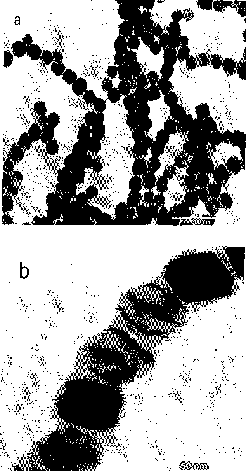 Method for continuous and batch purification of bacterial magnetic particles