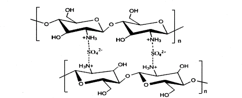 Sulfonated cross-linked chitosan resin type solid acid catalyst and preparation method thereof