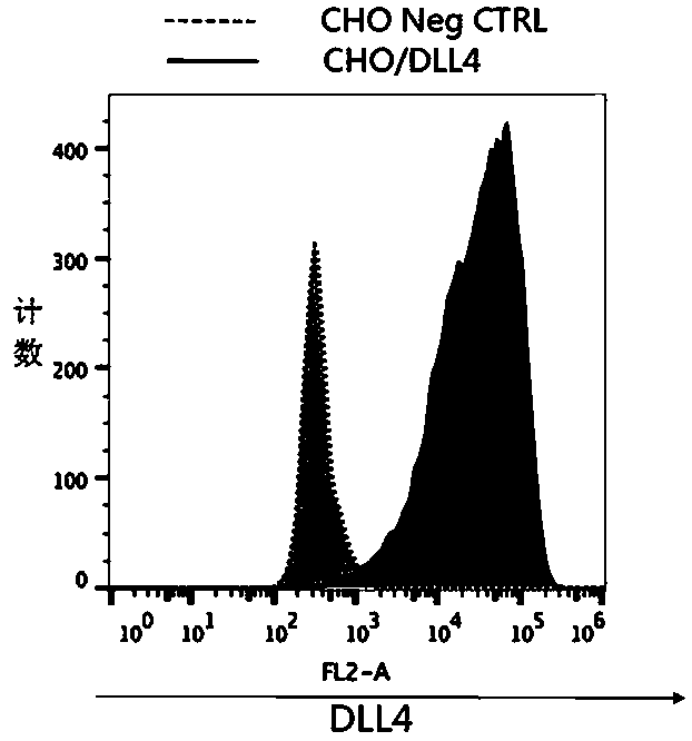 Anti-human DLL4 monoclonal antibody 3F9