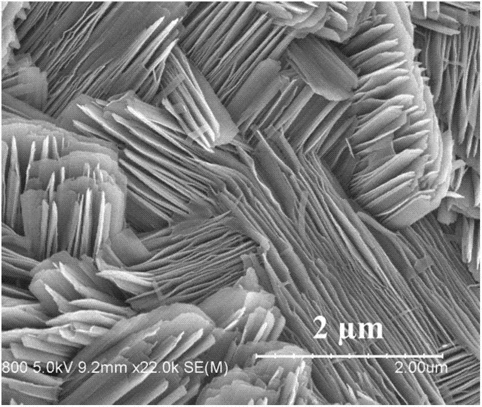 Preparation method for three-dimensional layered CoV2O6 micro-nano powder