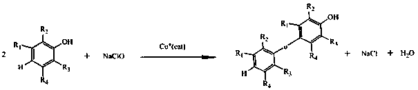 Preparation method for constructing compound with diphenyl ether structure