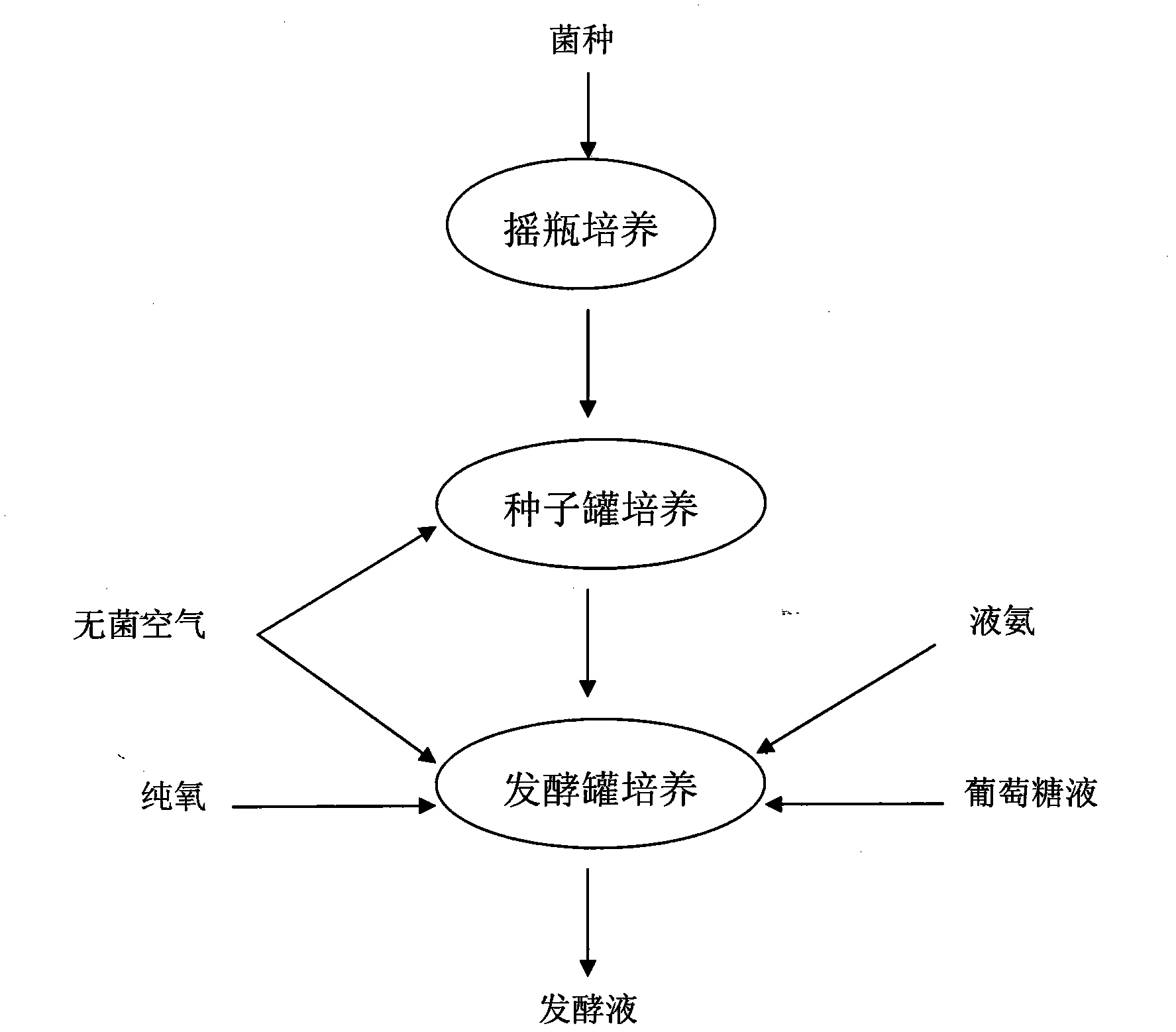 Method for improving yield of L-threonine produced by fermentation