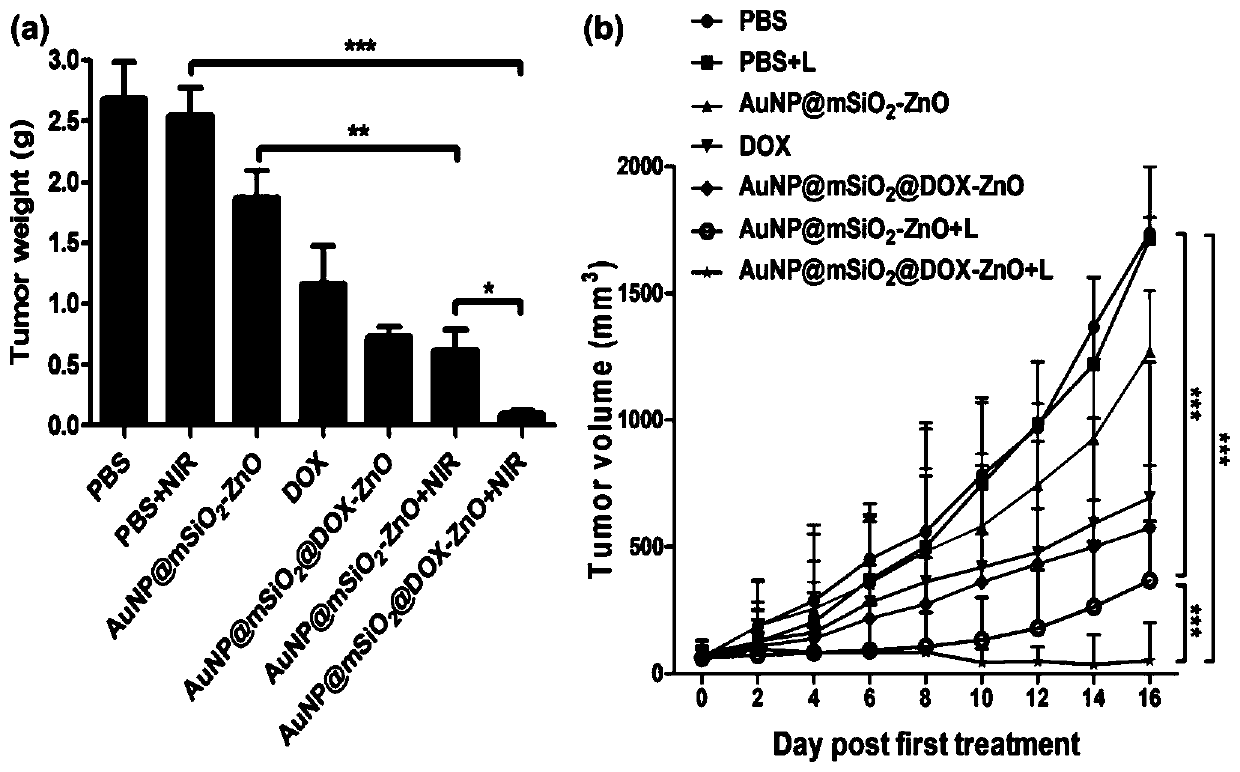 PH-responsive multifunctional nano drug carrier and application in skin diseases thereof