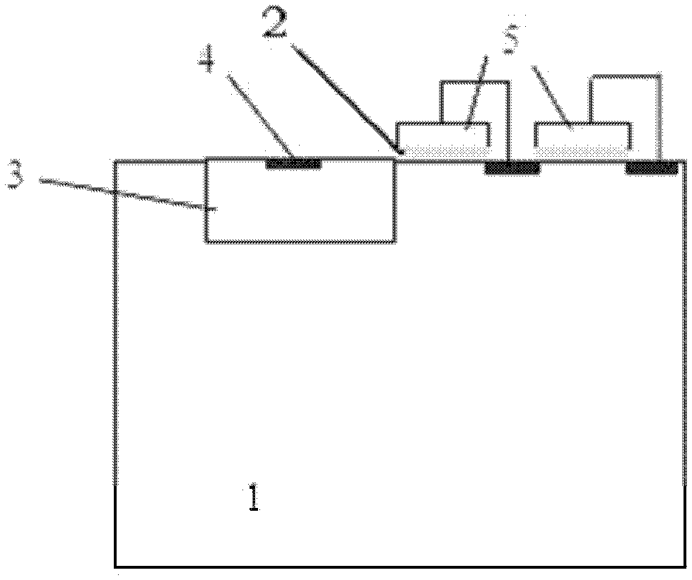 A kind of unidirectional conductive withstand voltage device and its manufacturing method