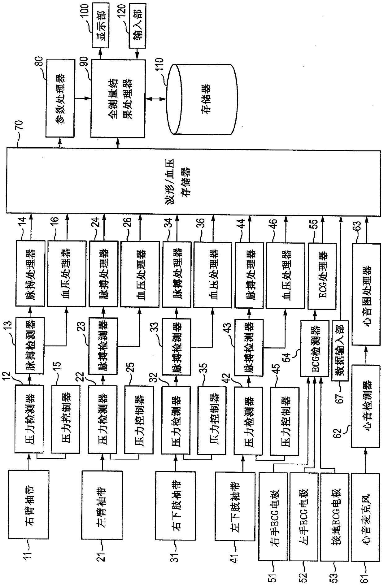 Biological information display device and biological information display method