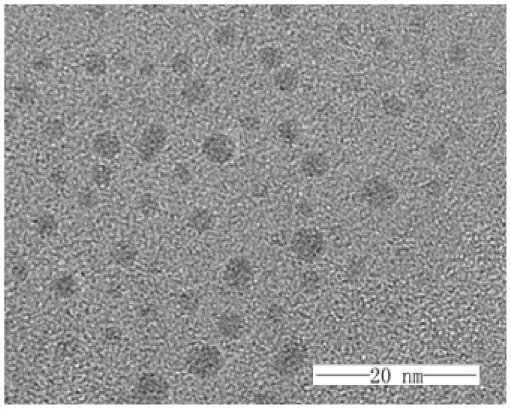Preparation method of silicon dioxide coated fluorescent carbon quantum dot composite microspheres