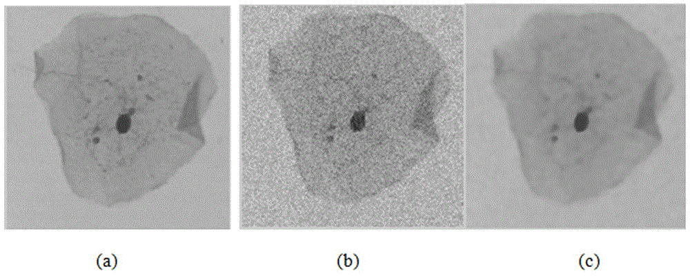 Cervical cell image identification method based on joint feature PCANet (Principal Component Analysis Net)