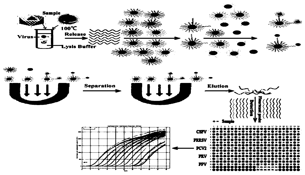 Multiple nano-fluorescence quantitative hypersensitive modelling detection kit