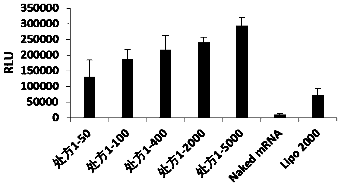 Neutral complex nanoparticles composed of poloxamer and/or poloxamine and lipid