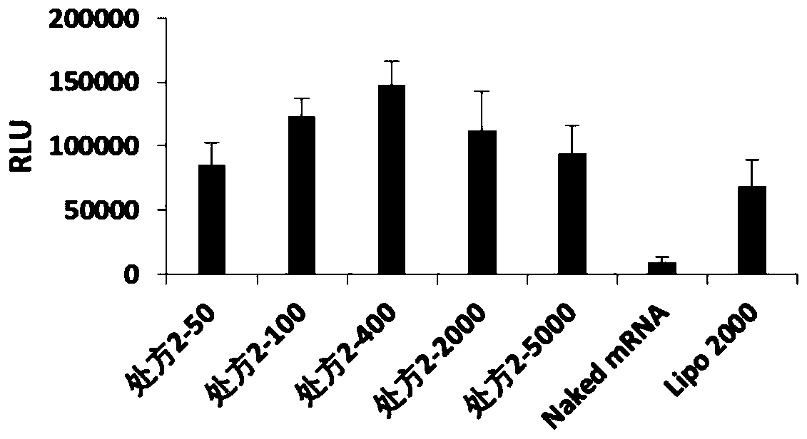 Neutral complex nanoparticles composed of poloxamer and/or poloxamine and lipid