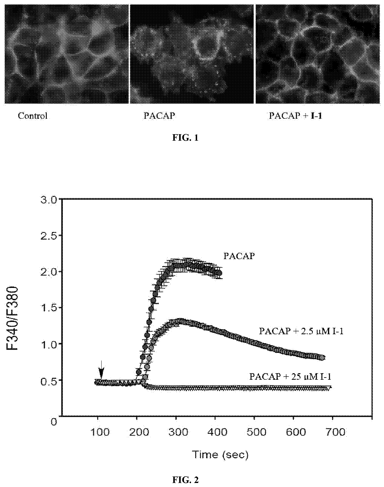 Small molecule antagonist to pacap receptor and uses thereof